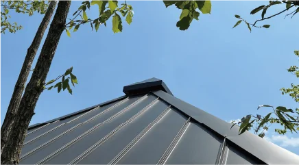 写真:空を背にした屋根