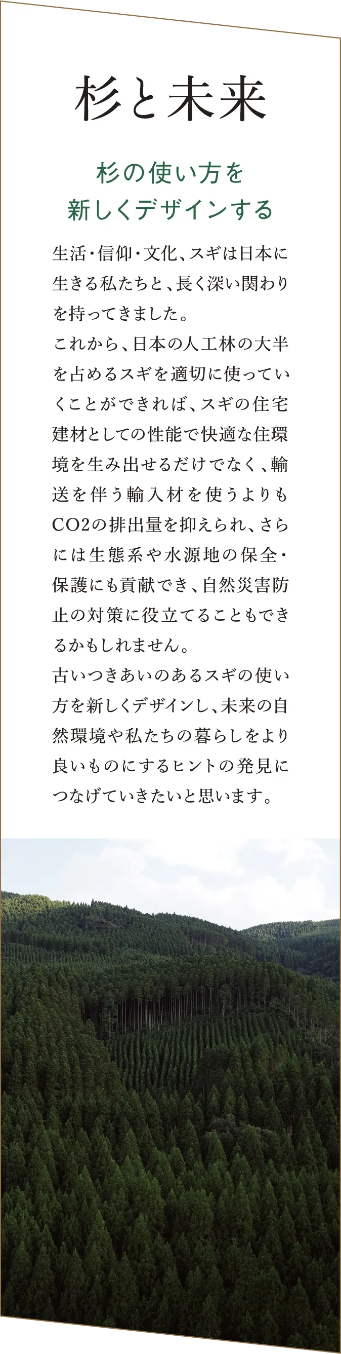 「杉と未来」 杉の新しい使い方と自然保護への貢献を語る文章。