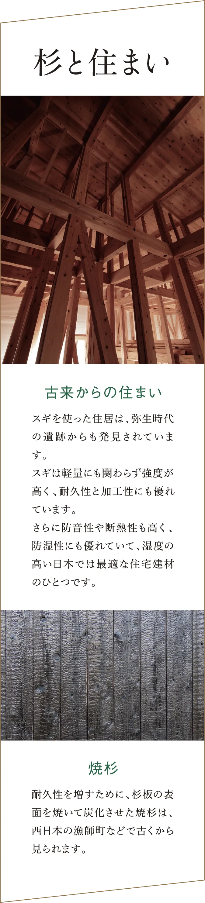 「杉と住まい」 杉材が古代から住宅建材として使われてきた歴史を紹介。