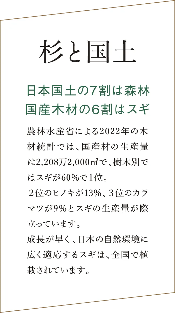 「杉と国土」 日本の国土の7割が森林で、国産木材の6割が杉である紹介。