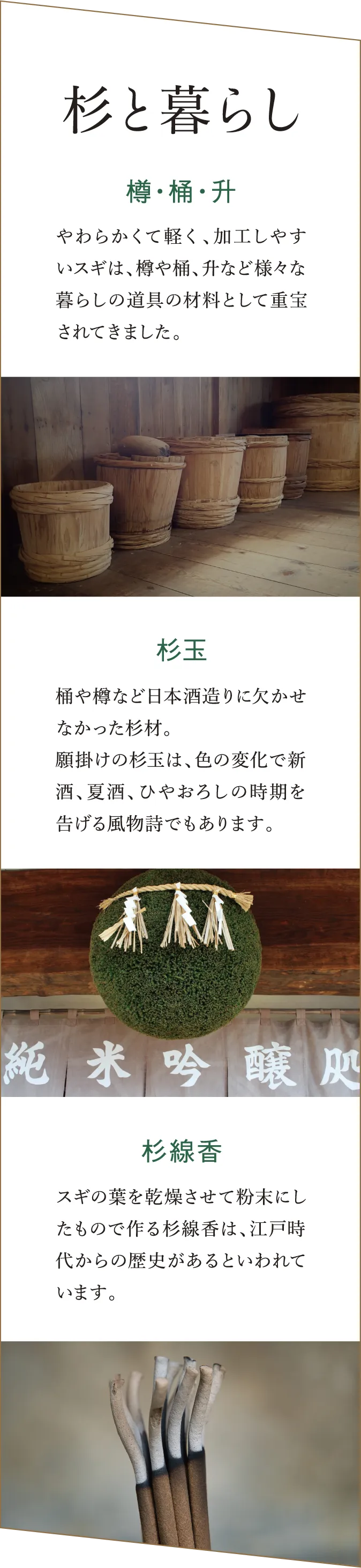 「杉と暮らし」 樽・桶・升など、杉が暮らしの道具として使われた歴史を紹介。