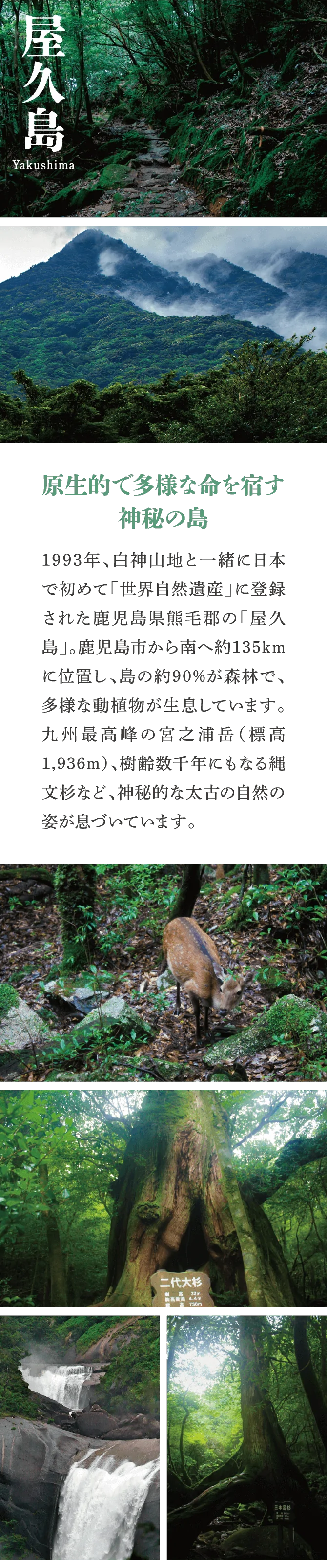 屋久島の特集記事。「原生的で多様な命を宿す神秘の島」という見出しと共に、緑豊かな森、霧深い山、大きな滝の写真を紹介しています。
