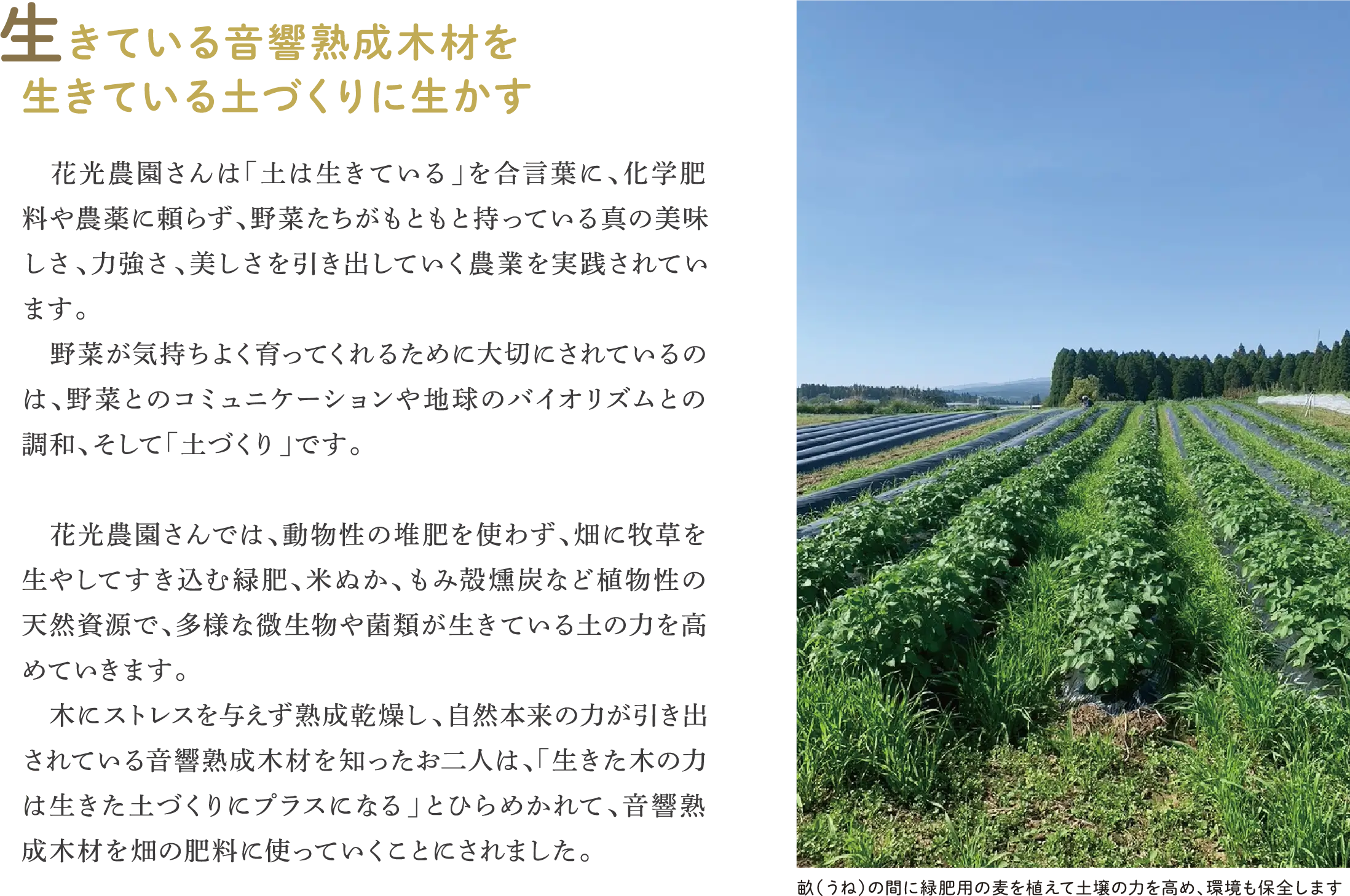生きている音響熟成木材を生きている土づくりに生かす