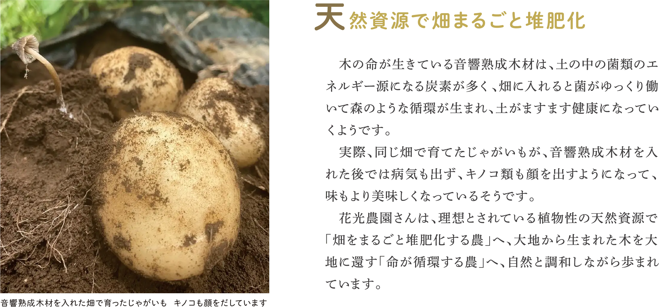 天然資源で畑まるごと堆肥化