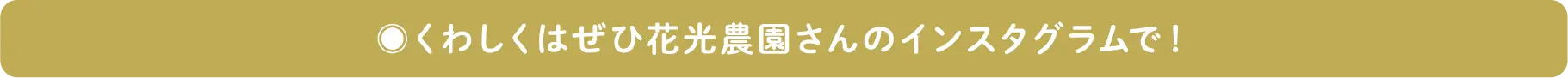 くわしくはぜひ花光農園さんのインスタグラムで！