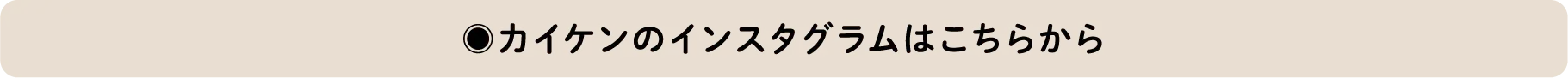 カイケンのインスタグラムはこちらから