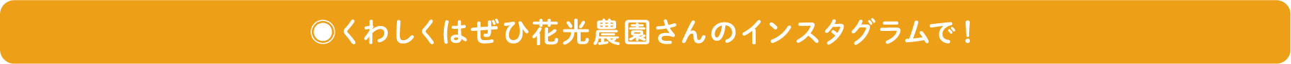 くわしくはぜひ花光農園さんのインスタグラムで！
