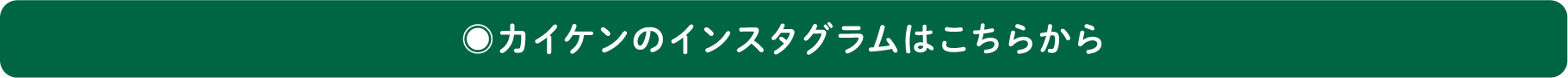カイケンのインスタグラムはこちらから