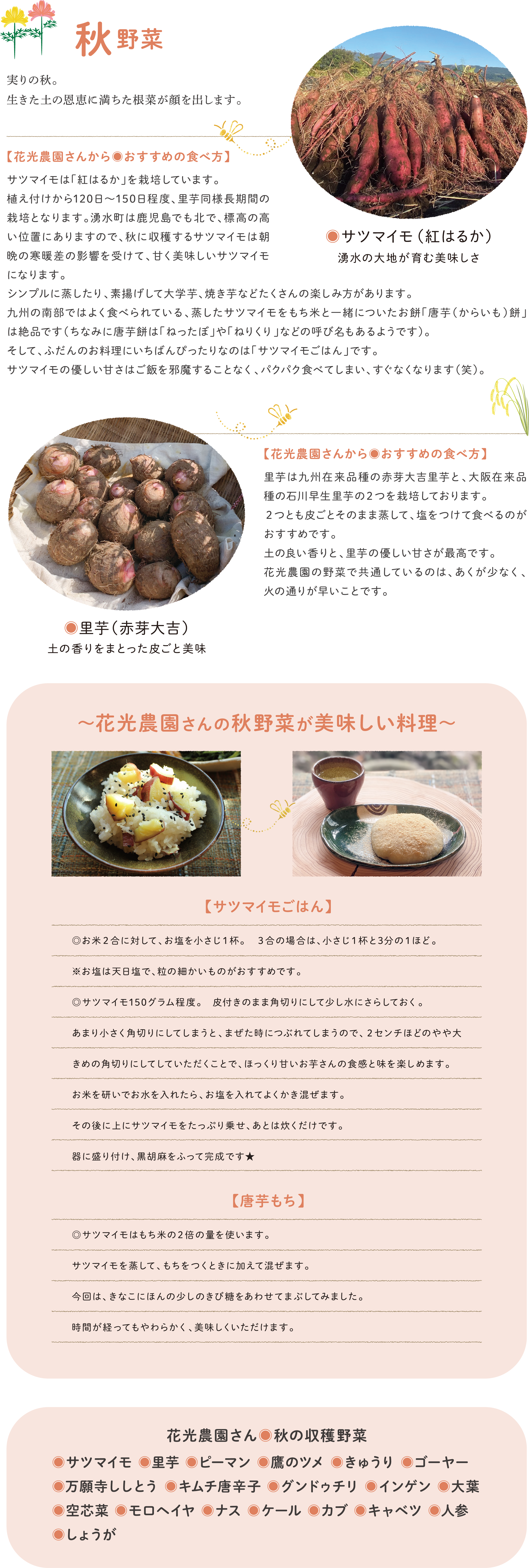 花光農園の秋野菜特集。サツマイモ（紅はるか）と里芋の写真に加え、サツマイモごはんや唐芋もちなどの料理写真、おすすめの食べ方が紹介されている。下部に秋の収穫野菜一覧（ピーマン、ナスなど）あり。