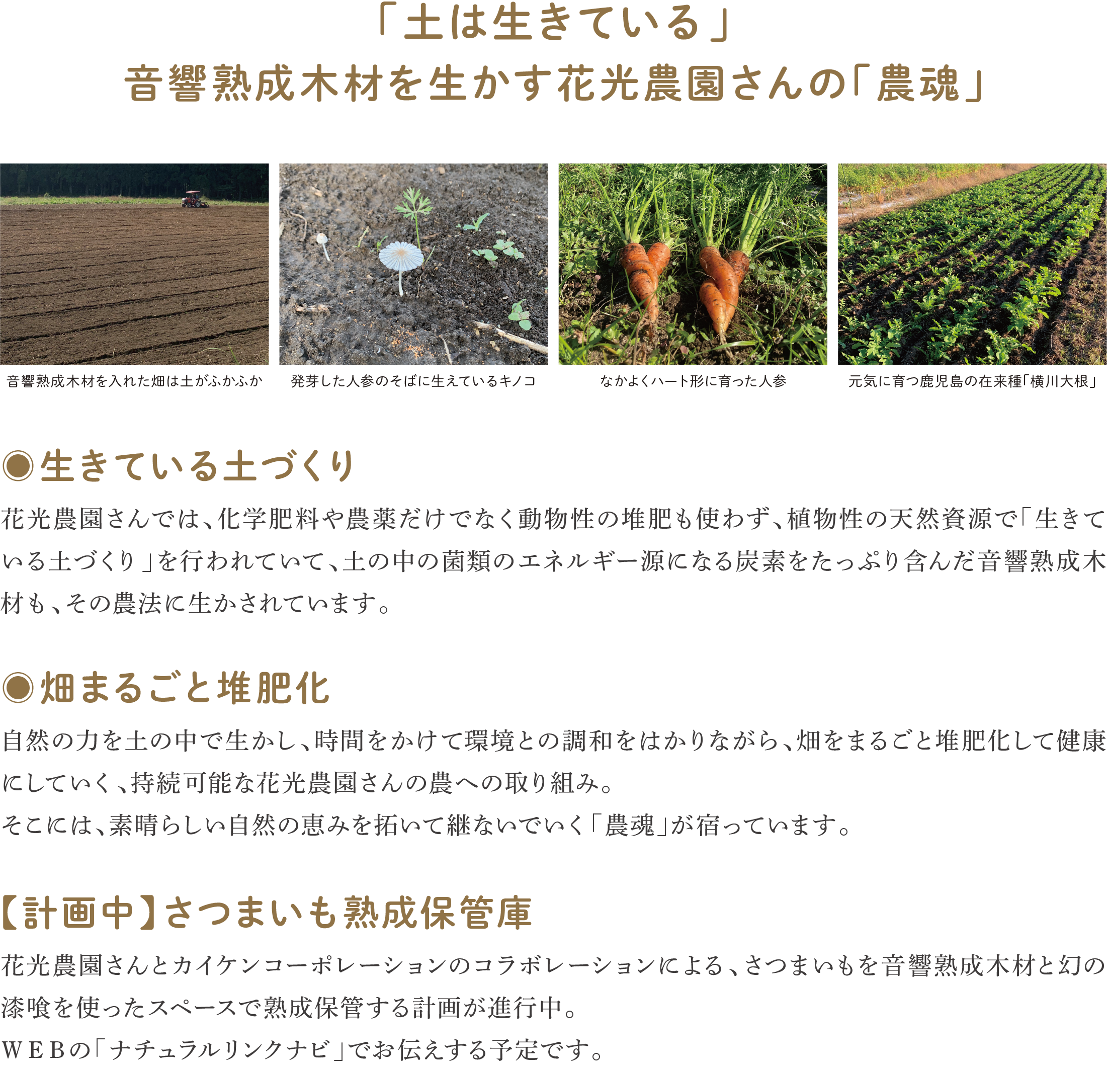 花光農園の「農魂」と土づくり。音響熟成木材の炭素を生かした「生きている土づくり」や「畑まるごと堆肥化」の取り組みについて、畑や作物の写真と共に解説されている。