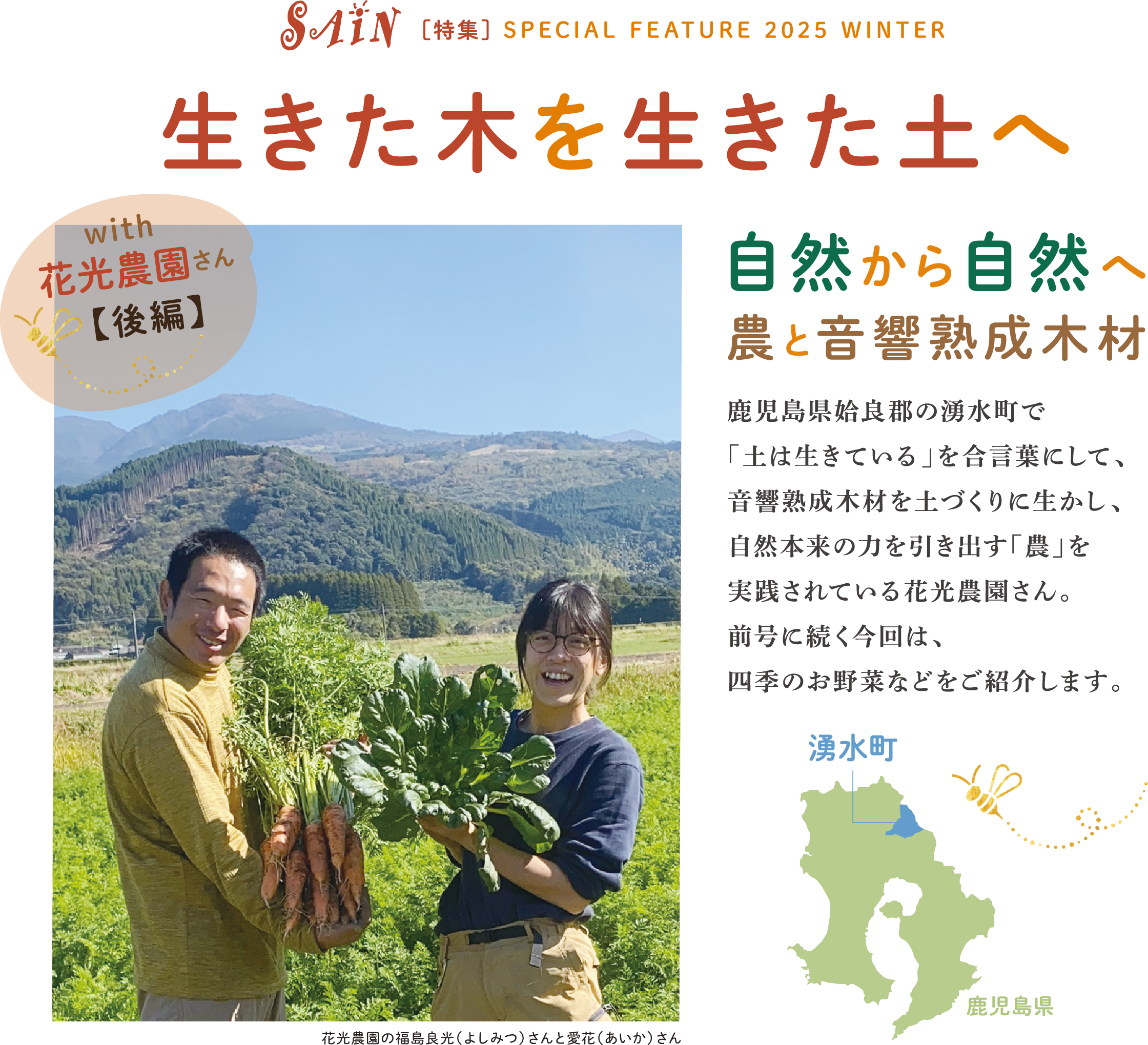 SAIN特集 Special Feature 2025 WINTER 生きた木を生きた土へ 自然から自然へ 農と音響熟成木材