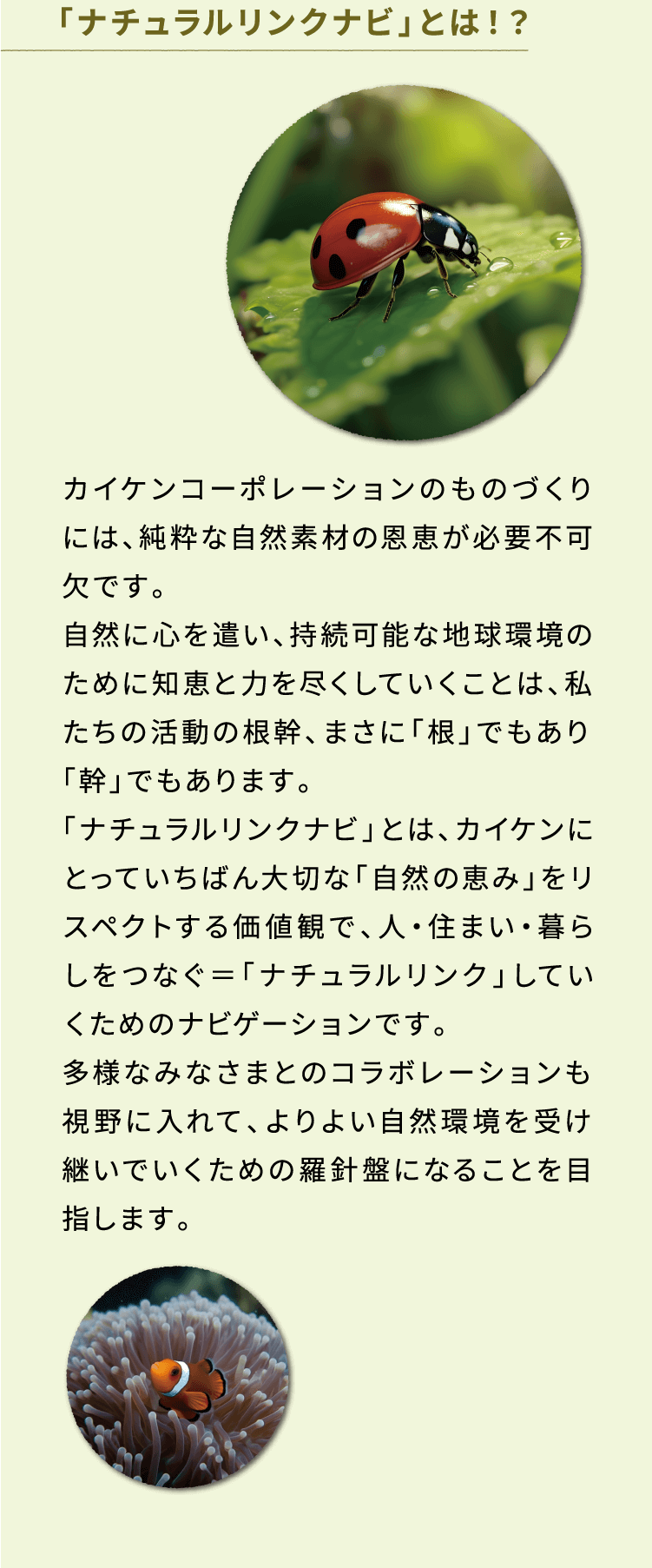 「ナチュラルリンクナビ」とは！？