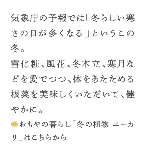 気象庁の予報では「冬らしい寒さの日が多くなる」というこの冬。雪化粧、風花、冬木立、寒月などを愛でつつ、体をあたためる根菜を美味しくいただいて、健やかに。◎おもやの暮らし「冬の植物 ユーカリ」はこちらから