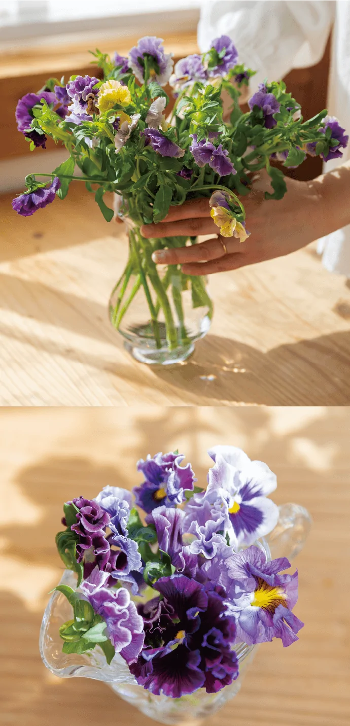 ガラスの花瓶に活けられた紫のパンジーと、木のテーブルの上に置かれたパンジーのアレンジメント。