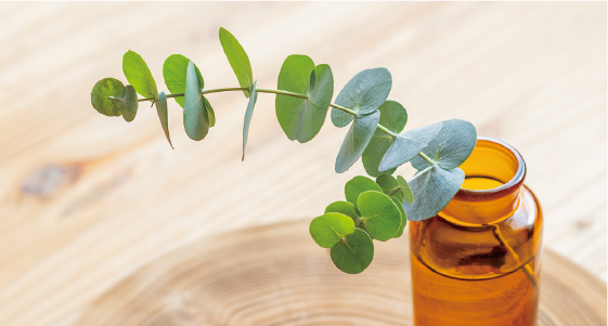 おもやの暮らし