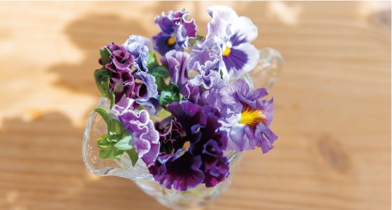 おもやの暮らし