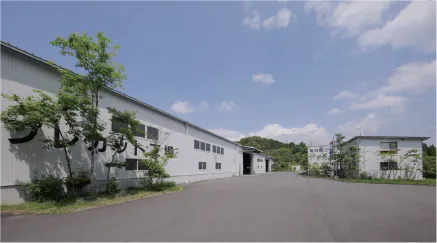 青空の下、白い建物と広々とした舗装道路が続いています。