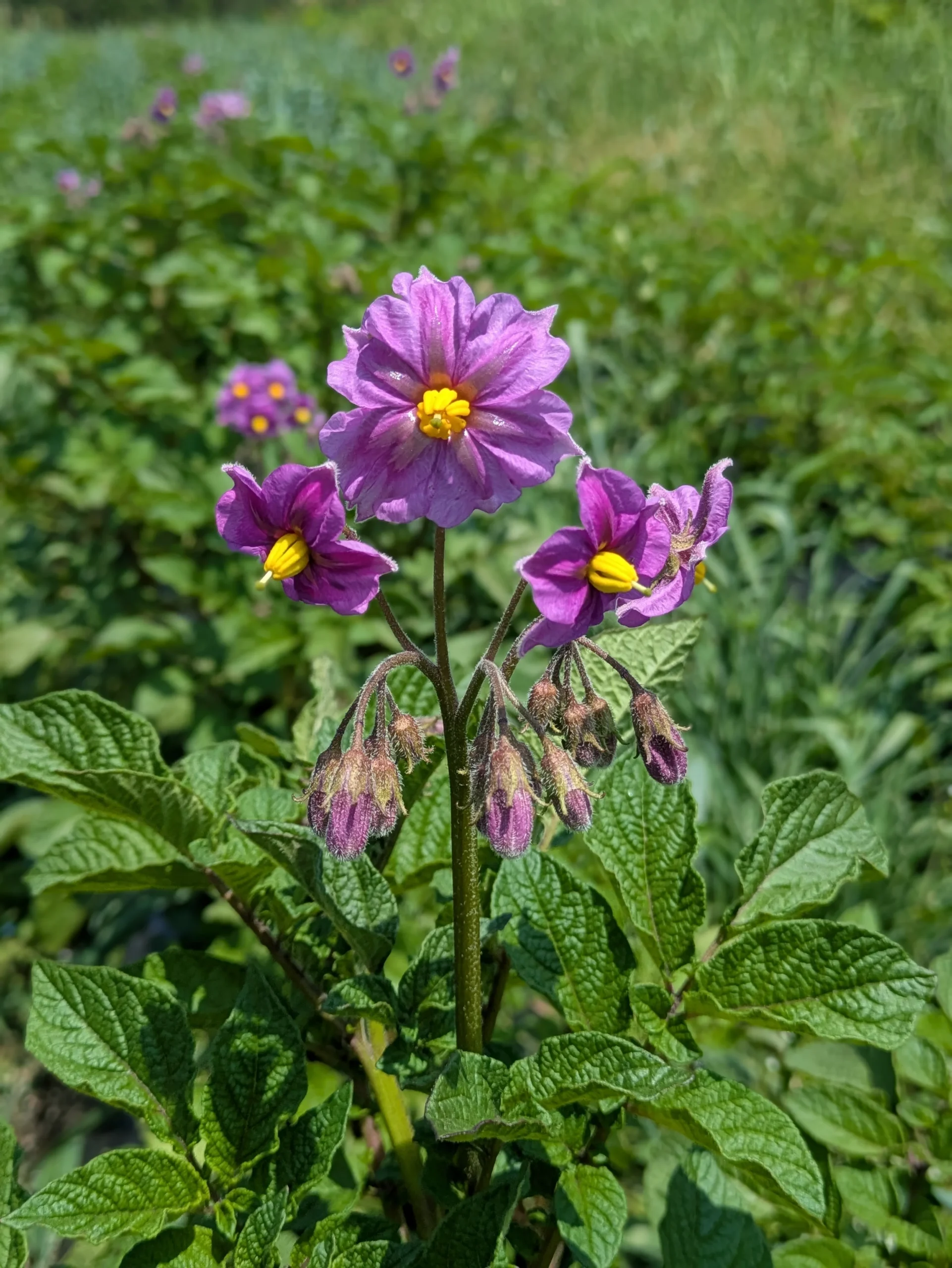 漆喰 リフォーム まとめ