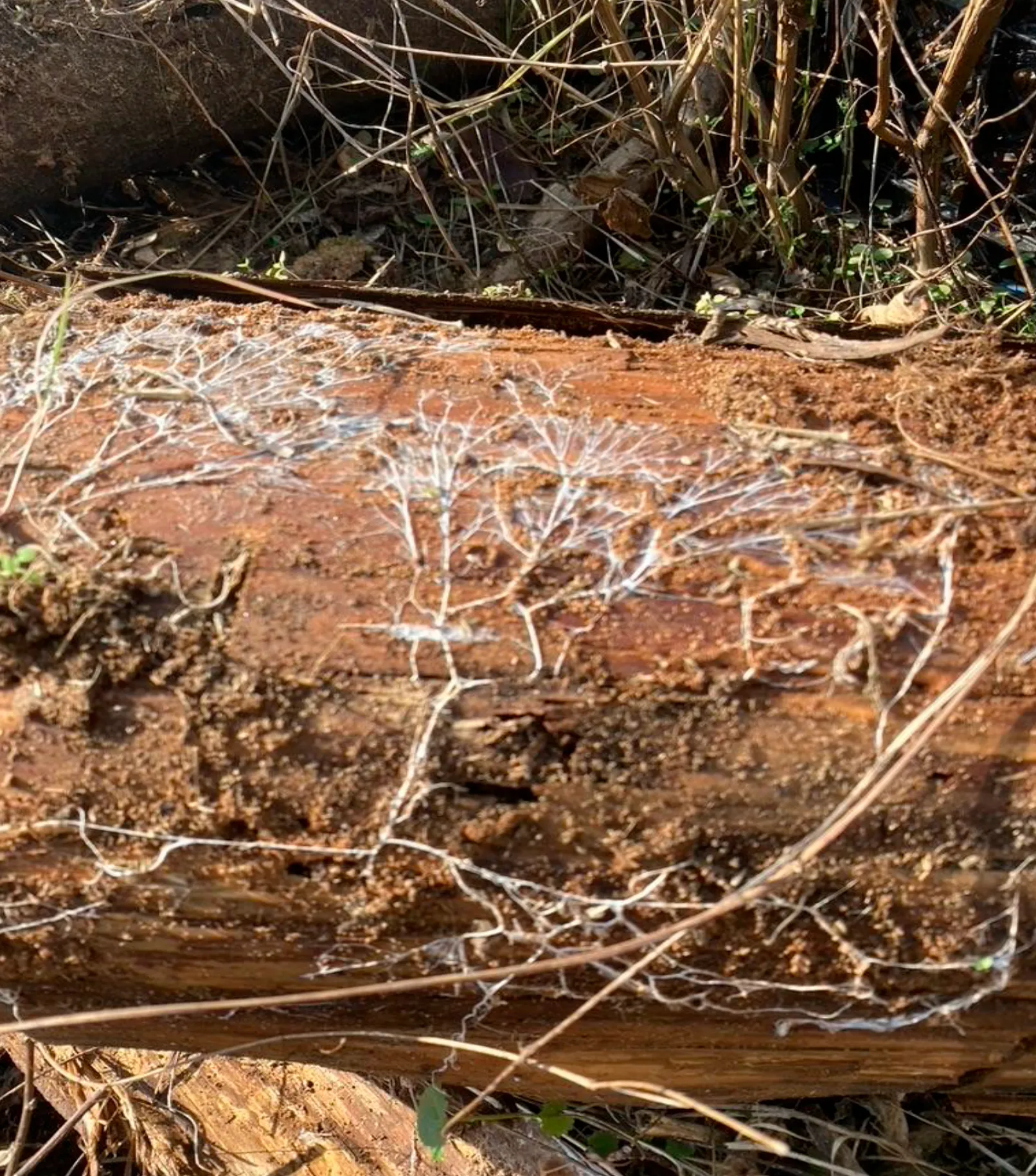 漆喰壁にするリフォーム費用の相場は?