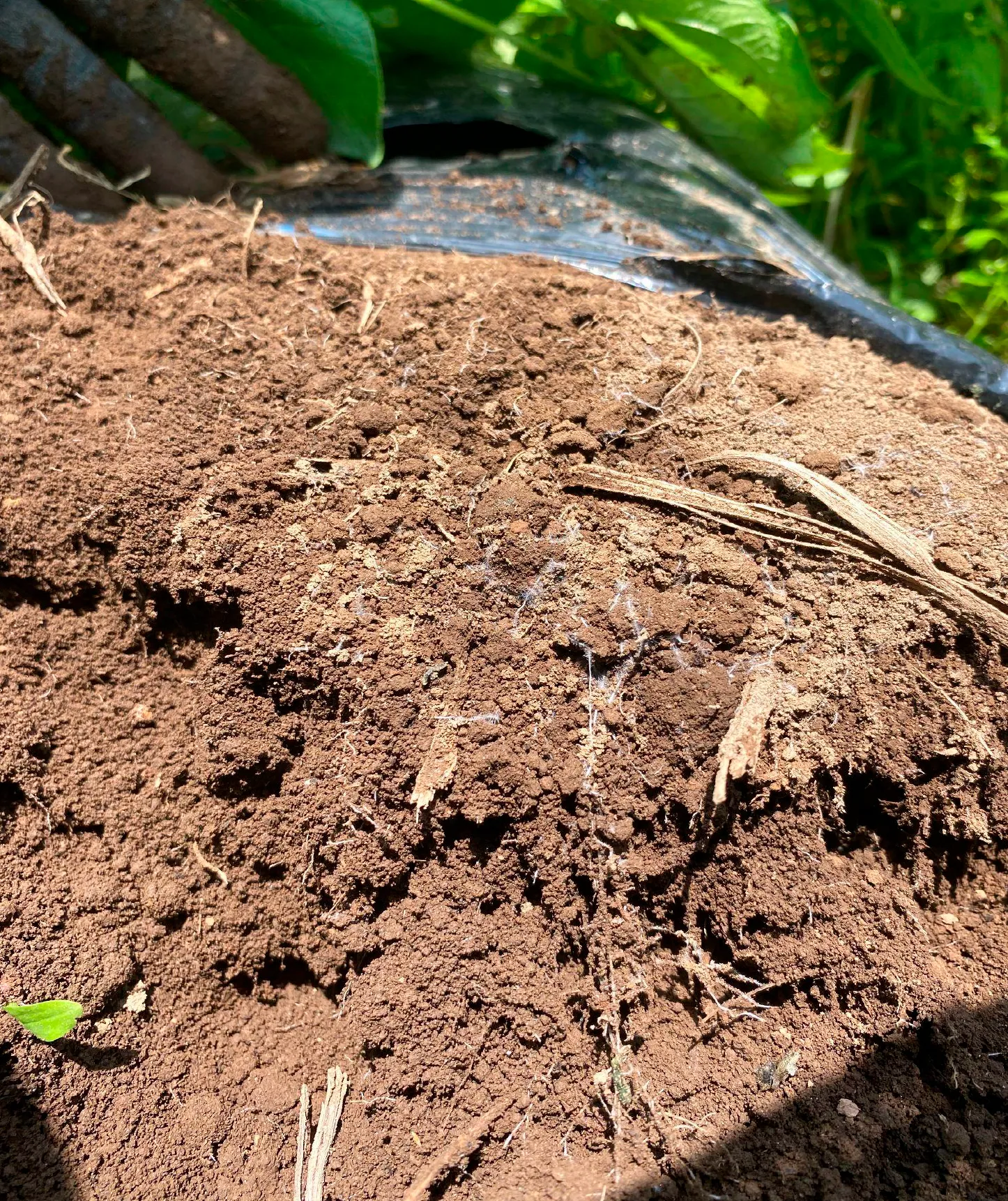 リフォームで漆喰壁に変更できる?