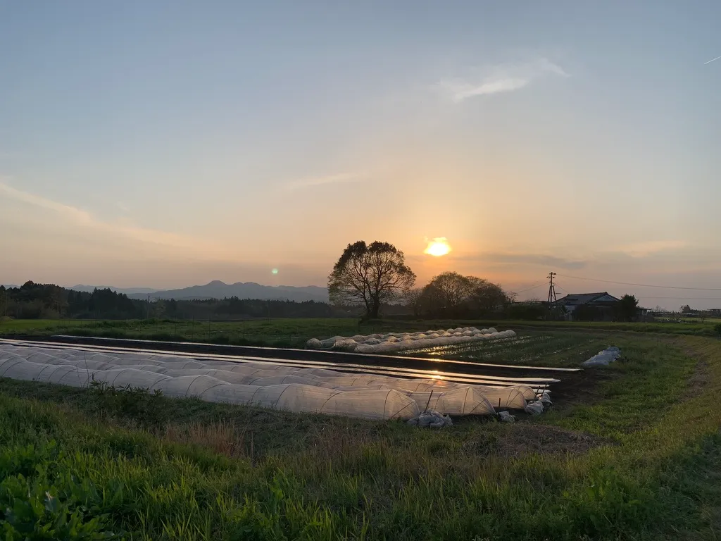 漆喰 リフォーム まとめ